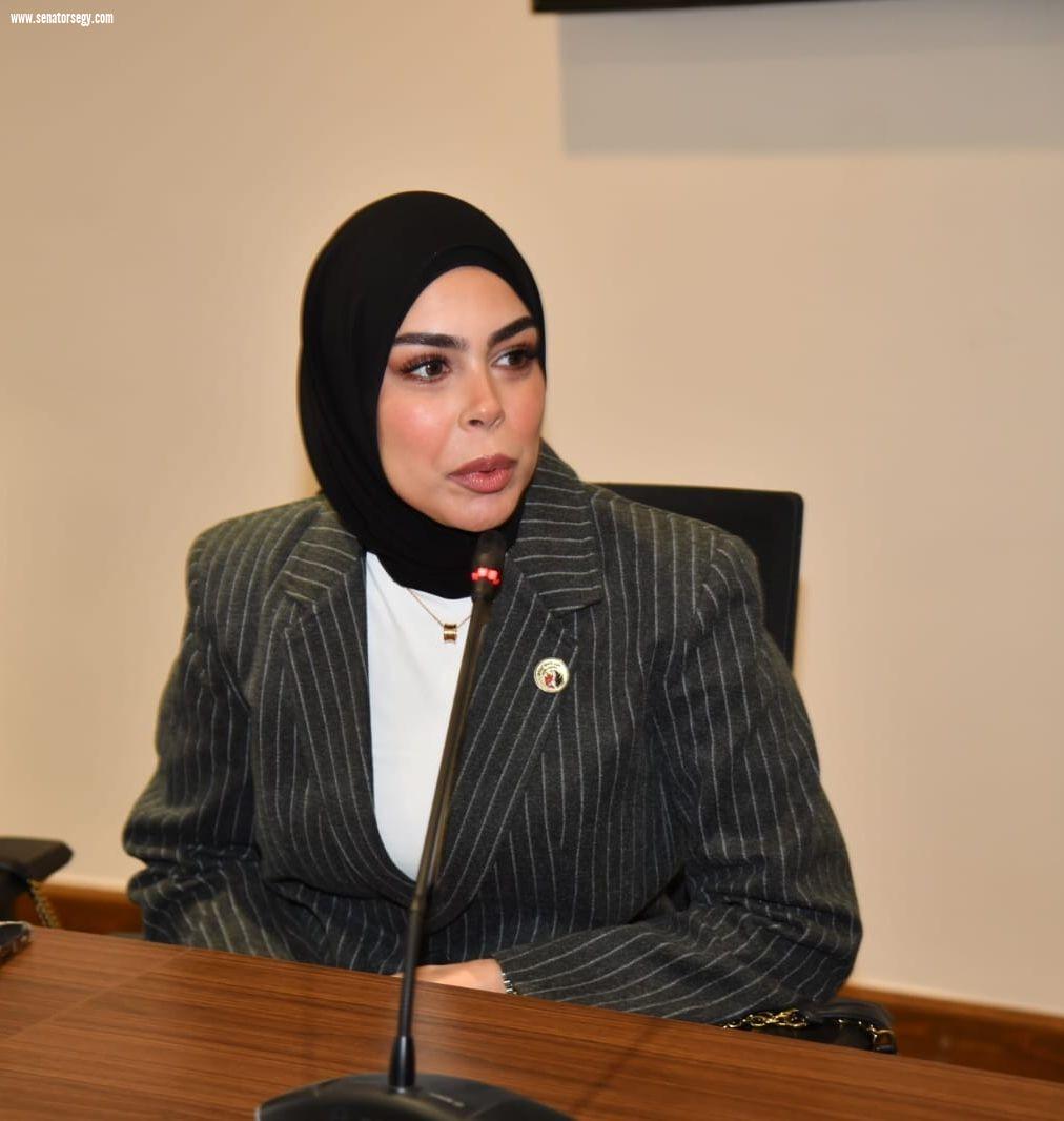 انضمام النائبة سچى عمرو هندي للجنة العلاقات الخارجية.. وتكشف: هذه أولوياتي باللجنة
