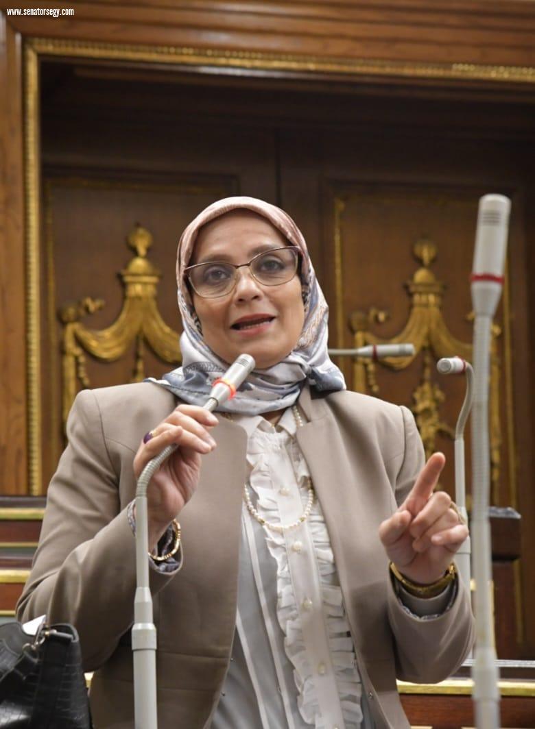 نجلاء العسيلي: مصر درع فلسطين الإنساني والسياسي.. والرئيس السيسي يقود ملحمة تاريخية لدعم غزة
