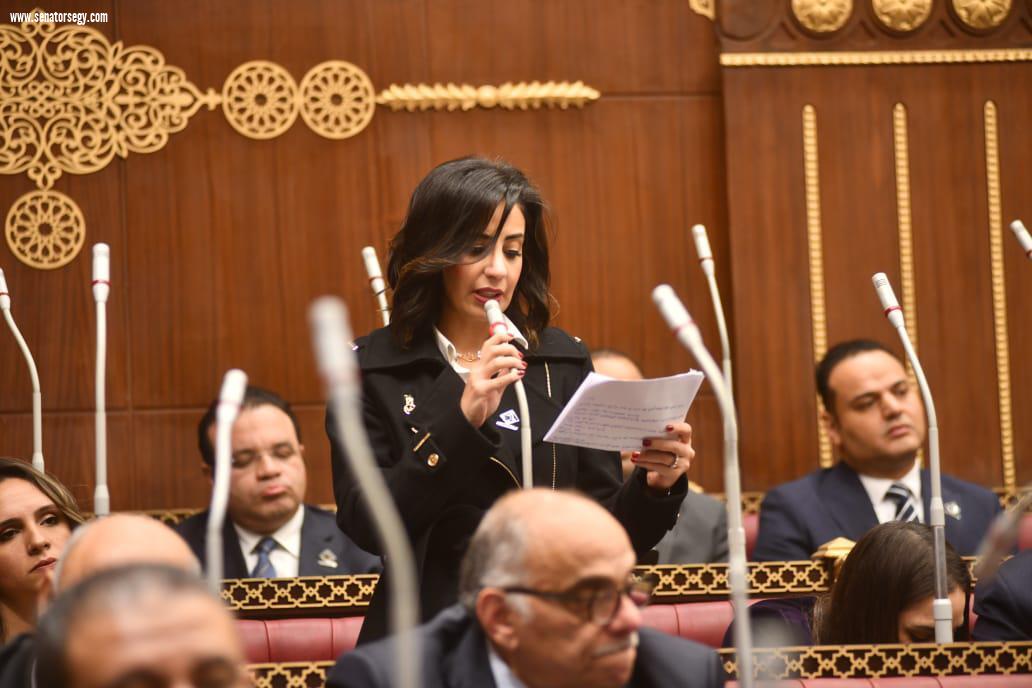 النائبة يوستينا رامي: يجب توفير حماية اجتماعية للفئات المتضررة من آثار التغيرات المناخية