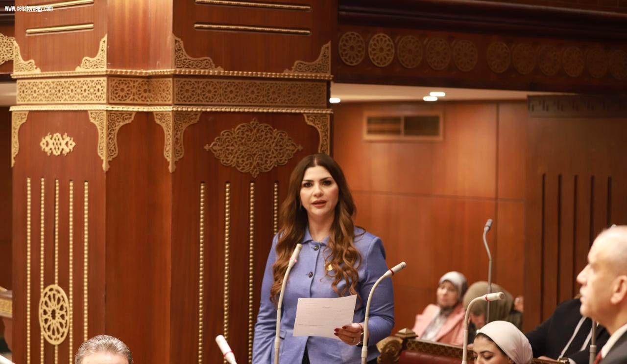 النائبة غادة البدوي: تصريحات الحكومة تعكس إدارة رشيدة للتحديات الاقتصادية العالمية