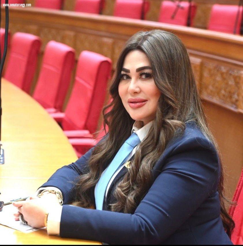 النائبة ولاء الصبان: توجيهات الرئيس السيسي بتعزيز أمن الطاقة وضمان استقرار الكهرباء خطوة استراتيجية لحماية الاقتصاد والمواطنين