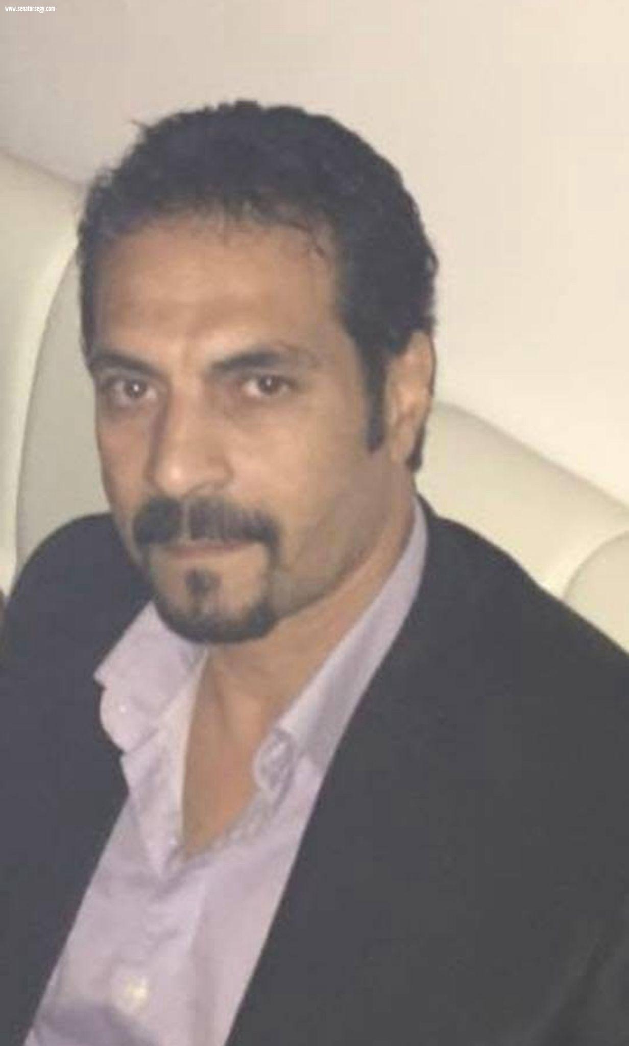 طارق عناني: وقف إطلاق النار الخطوة الأساسية نحو سلام عادل وشامل