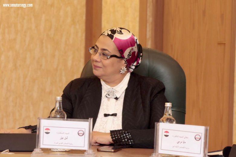 المستشارة أمل عمار: “الغرف الصديقة للطفل” يمثل نقلة نوعية في مسار العدالة المصرية