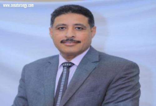 أشرف العيادي: زيارة الرئيس السيسي للسعودية تعزز من حجم الشراكة الإستراتيجية والأمن العربي والتنمية الاقتصادي