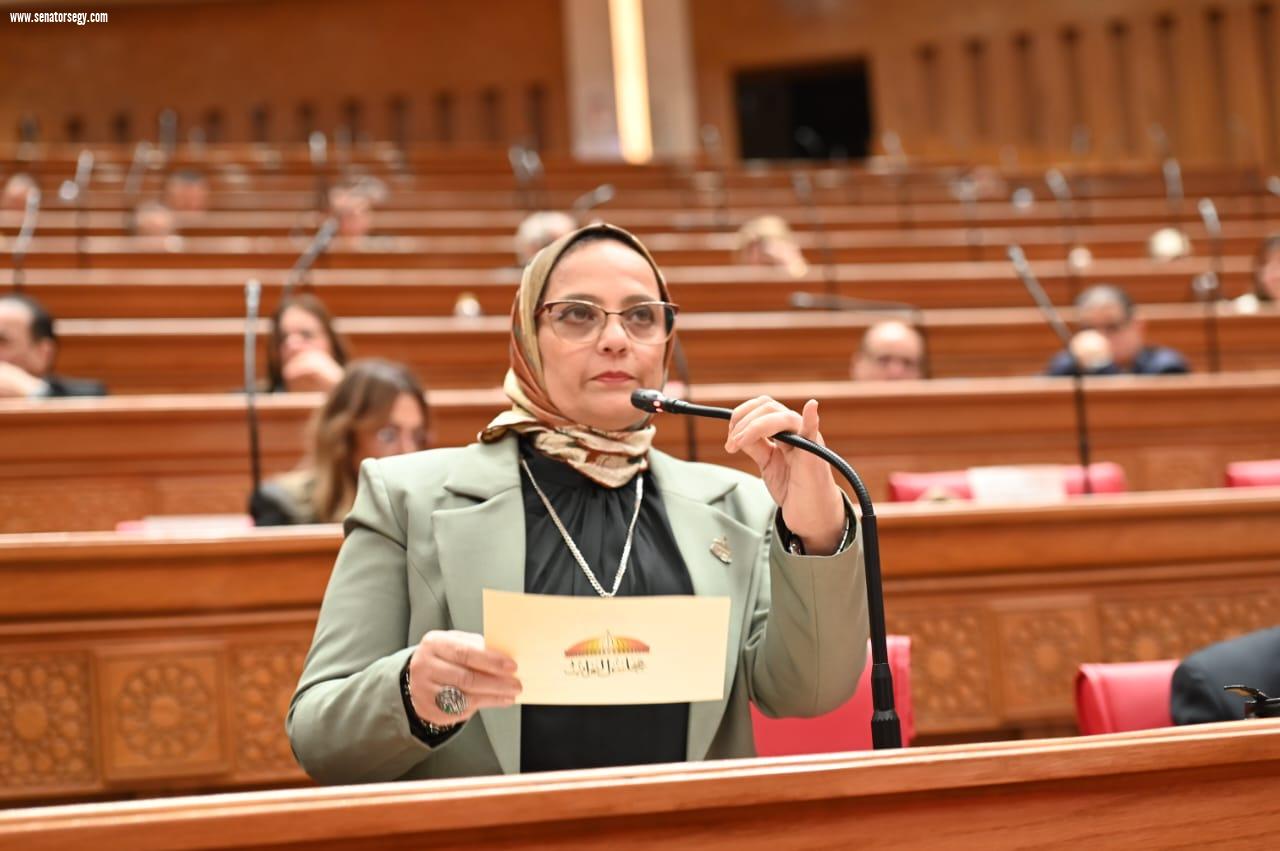 توصية برلمانية بإنقاذ 430 حالة من أزمة التمويل العقاري.. والعسيلي تتحرك لتنفيذ فائدة 3%