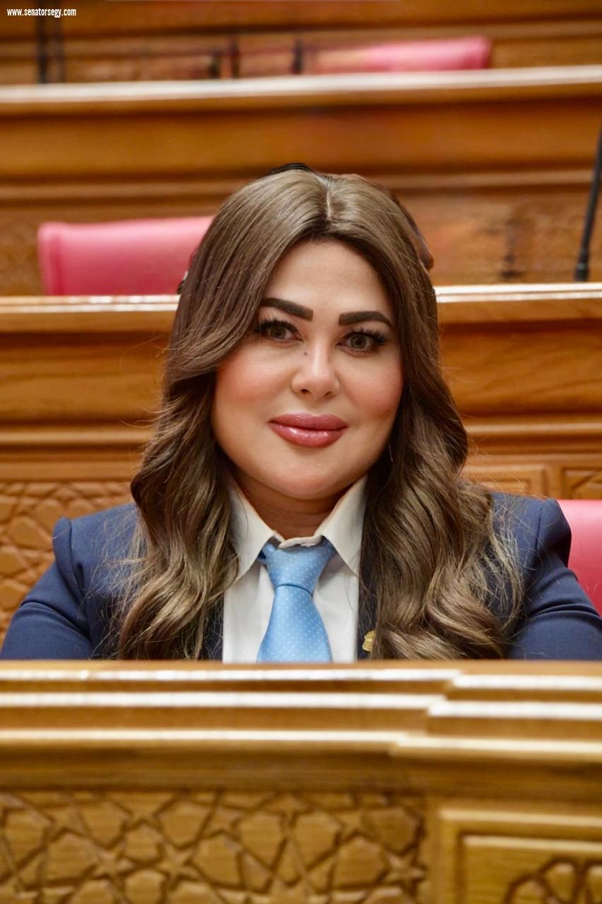 برلمانية: جذب الاستثمارات ركيزة أساسية لعبور التحديات الاقتصادية