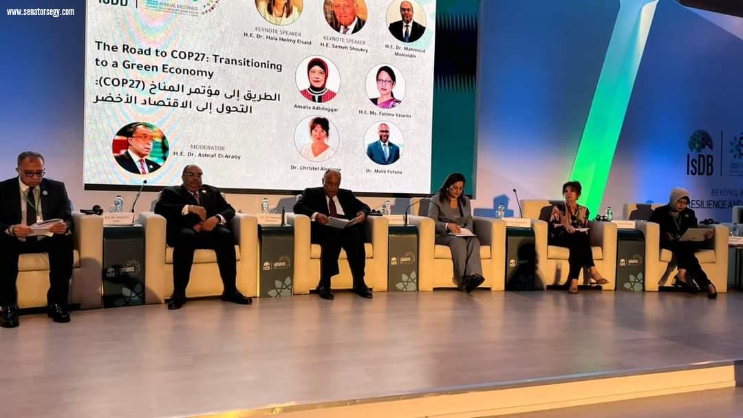 الدكتور محمود محيي الدين يشارك في جلسة الطريق إلى مؤتمر الأمم المتحدة للتغير المناخي COP27 