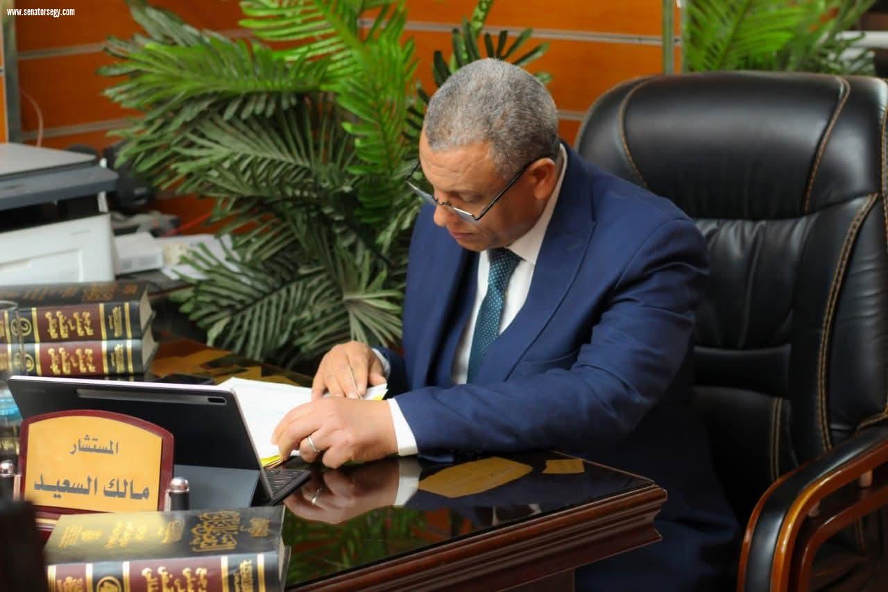 مالك السعيد المحامي يكتب: الإصلاح الاقتصادي ومشروعات القرن.. قراءة في التجربة التنموية المصرية الحديثة
