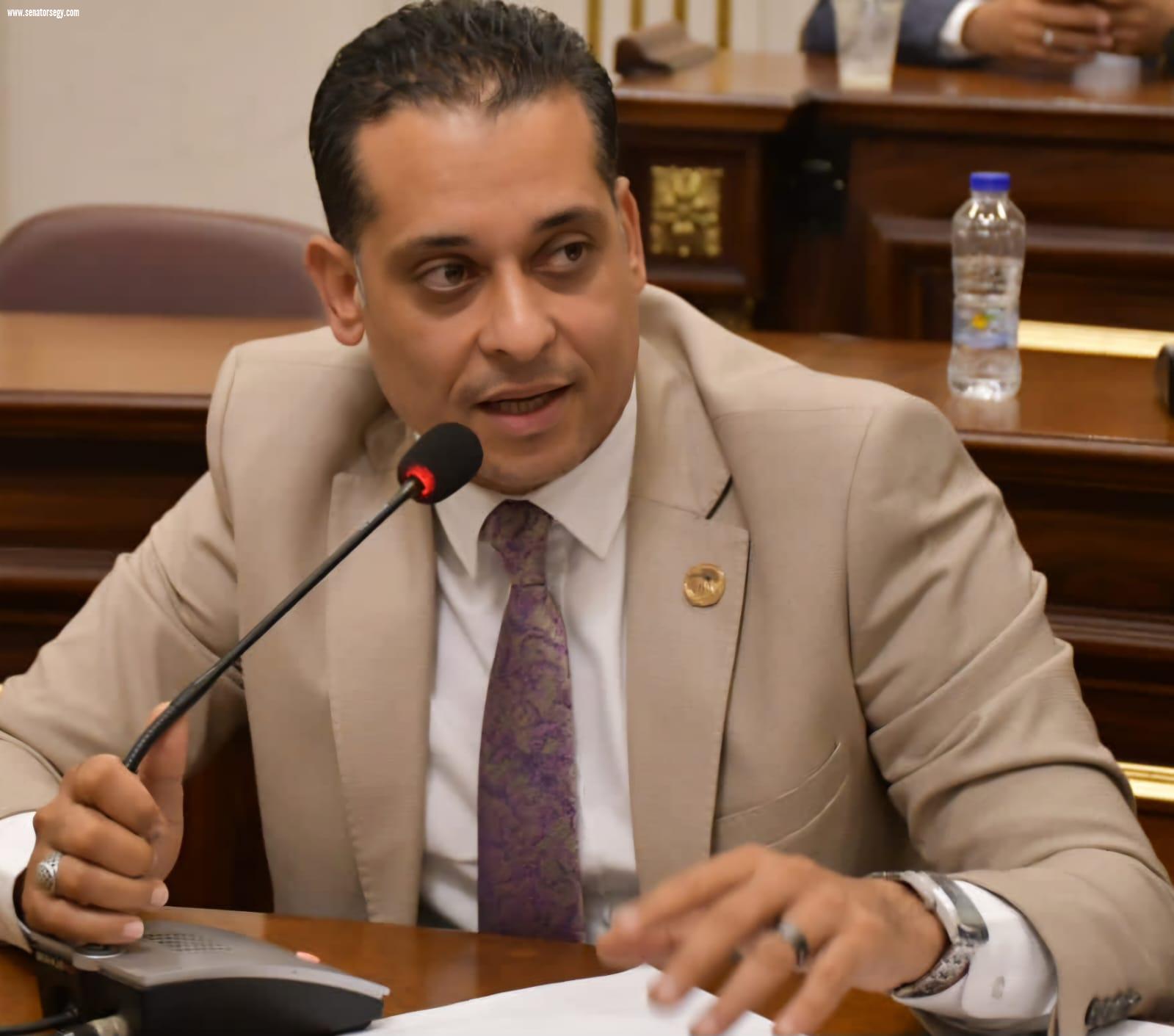 محمد نشأت: ثورة 30 يونيو أنقذت مصر من براثن الإرهاب وأجهضت مخططات التقسيم وقضت على إرهابيي الإخوان
