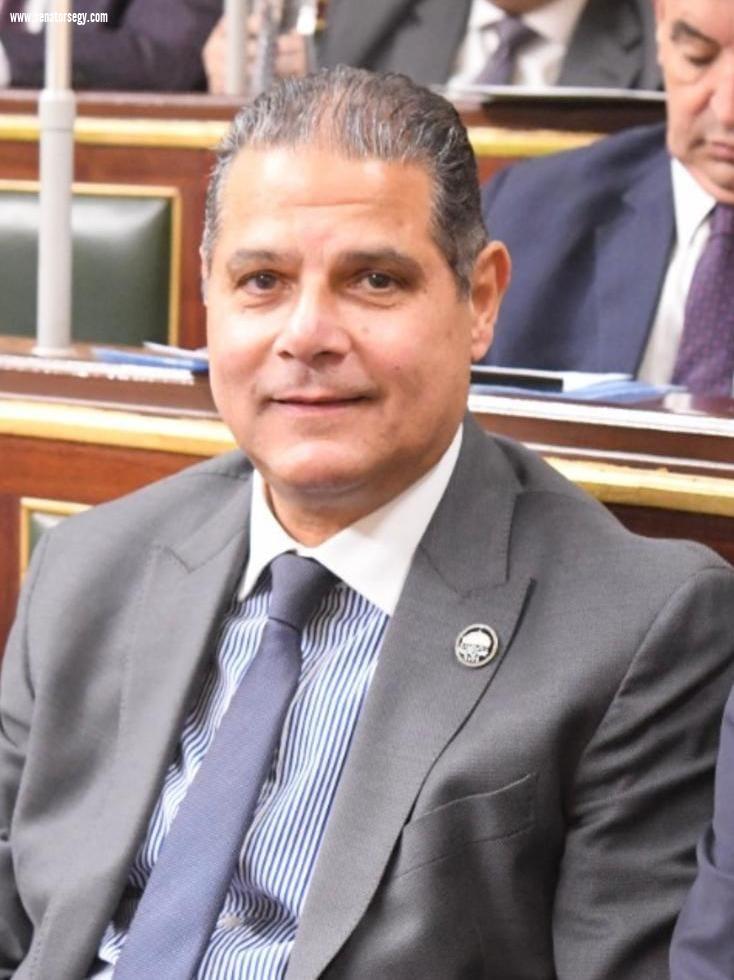 احمد الخشن: موافقة حماس على الهدنة تؤكد نجاح الوساطة المصرية وحماية المدنيين