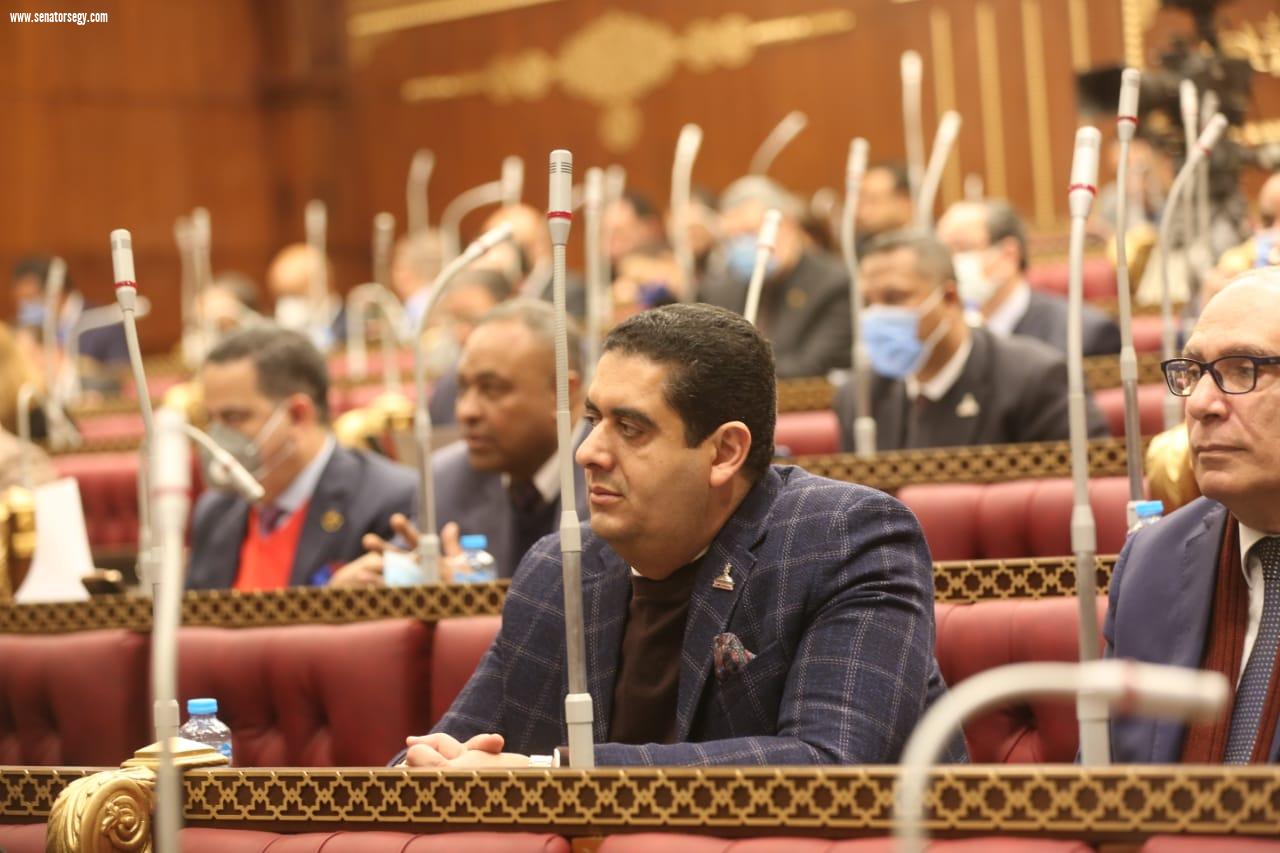 النائب وليد التمامي : توجيهات الرئيس السيسي بتوطين صناعة مستلزمات التشييد والبناء يستكمل النهضة العقارية الشاملة بالبلاد