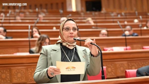 نجلاء العسيلي: دعوة الرئيس السيسي لوقف الحرب تعكس مسؤولية مصر تجاه أمن المنطقة