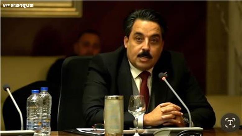 قيادي بحزب الجيل: بيان مجلسي النواب والشيوخ يؤكد أن مصر تظل خيمة العرب وركن الاستقرار الأصيل