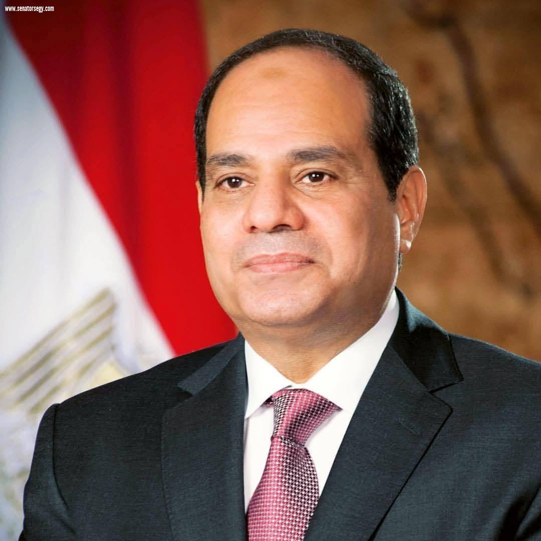 القومي للأشخاص ذوي الإعاقة يشكر رئيس الجمهورية على توجيهاته بشأن مشروعات قوانين الأسرة ويؤكد دعمه لتضمين قضايا ذوي الإعاقة