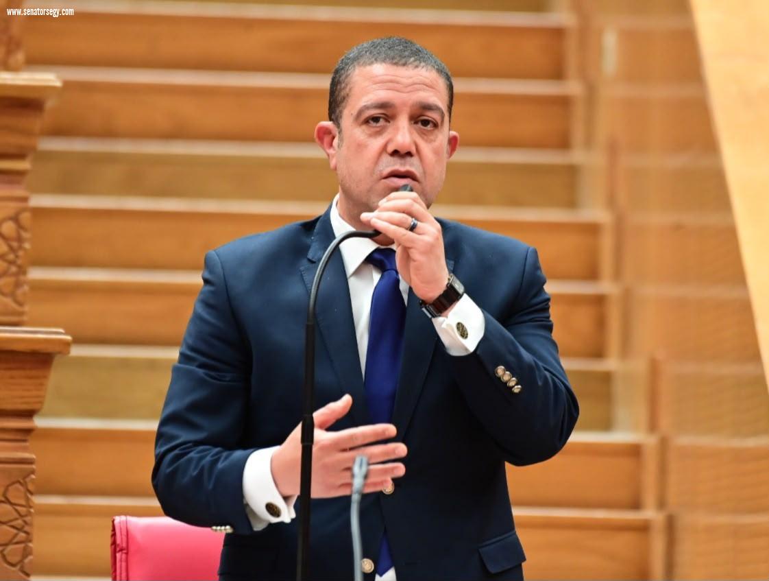 النائب سمير الخولي: كلمة الرئيس السيسي حملت رسالة واضحة بأن الوعي والعمل هما خط الدفاع الأول عن الدولة