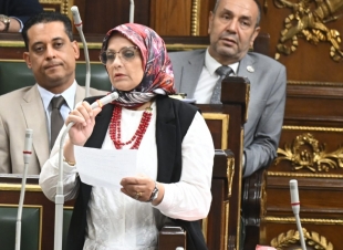 النائبة نجلاء العسيلي: زيارة رئيس الإمارات تؤكد عمق العلاقات التاريخية وتصب في صالح استقرار المنطقة