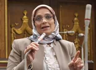 نجلاء العسيلي: مصر درع فلسطين الإنساني والسياسي.. والرئيس السيسي يقود ملحمة تاريخية لدعم غزة