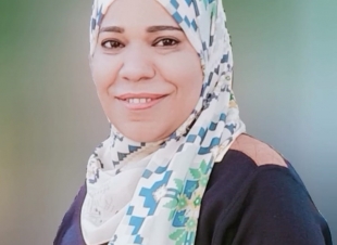 منظمة 