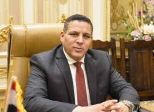 أحمد محسن: الاعتداء على السفارات المصرية محاولة يائسة للإضرار بمكانة مصر الدولية