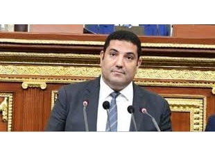 أحمد عبد المجيد: المقترح المصري لوقف حرب غزة طوق النجاة الحقيقي للشعب الفلسطيني