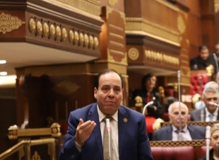 قيادي بحماة الوطن: المقترح المصري القطري بهدنة غزة يقطع الطريق على مخططات الاحتلال