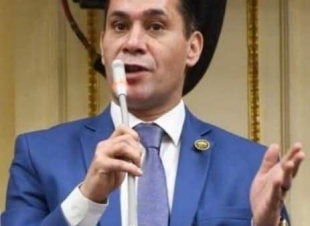 النائب أحمد عاشور: وعي الشعب المصري يحبط مخططات الإخوان المتكررة
