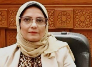 برلمانية: نؤيد موقف مصر الرافض للاعتداءات الإسرائيلية على إيران.. ونحذر من مخاطر التصعيد 