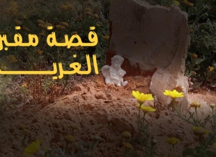 ستوري كاتشرز.. منصة تُوثّق حكايات إنسانية تُثبت أن الإرادة أقوى من المستحيل