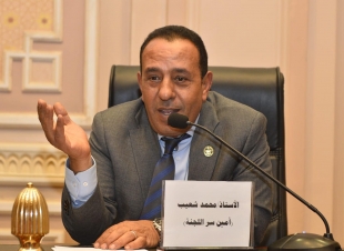 النائب محمد شعيب يطالب بزيادة المساحة المزروعة بالأرز في المحلة وسمنود دعمًا للمزارعين وتعزيزًا للأمن الغذائي