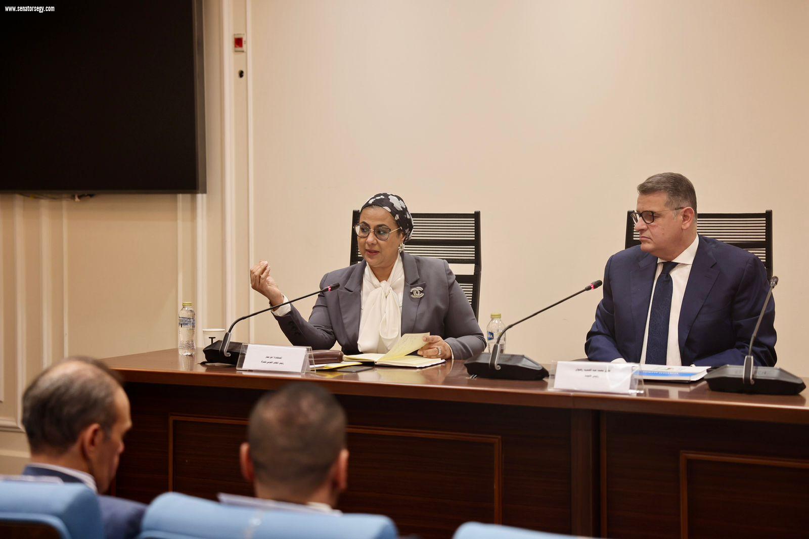 تكريم المستشارة أمل عمار في احتفالية الهيئة العامة لقصور الثقافة لتكريم المرأة المصرية والأم المثالية