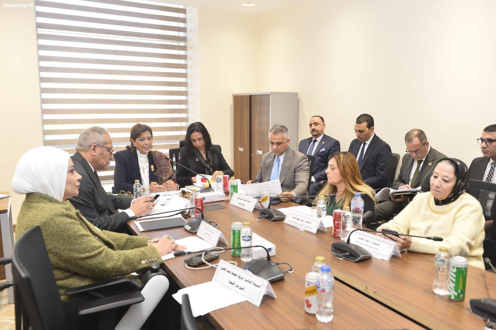 القومي للأشخاص ذوي الإعاقة: لا مساس بحقوق ذوي الإعاقة ..ووصول الدعم لمستحقيه بمناقشات النواب