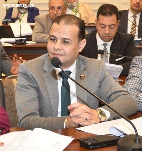 مدحت الكمار: زيارة رئيس مجلس الدولة الصيني لمصر تدفع التعاون التنموي المشترك بين البلدين