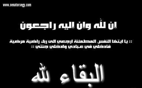 الشيوخ|النائبان وليد التمامي ومحمد ابوحجازي يقدمون التعازي للكابتن عصام الحضري في وفاة والده سيادته