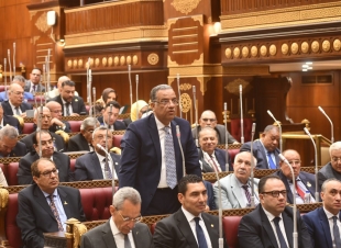  رئيس الهيئة البرلمانية للجبهة الوطنية في الشيوخ: تطوير مراكز الشباب لابد أن يكون مشروع دولة 