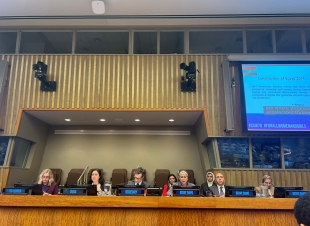 أمل عمار: مصر تؤكد التزامها بتمكين المرأة خلال أعمال الدورة السبعين للجنة وضع المرأة بالأمم المتحدة