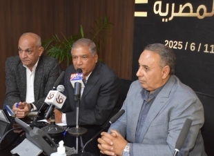 عفت السادات: تركيز شديد على المقاعد الفردية حتى وإن لم يكن هناك ممثلين على كافة المقاعد