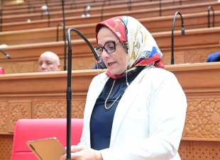 النائبة نجلاء العسيلي: وعي المصريين هو الحصن المنيع للدولة.. والاصطفاف الوطني يحبط مخططات زعزعة الاستقرار
